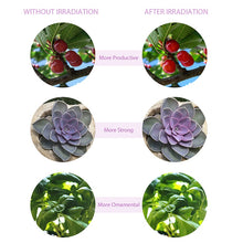 Cargar imagen en el visor de la galería, LED Grow Full Spectrum Light For Indoor Plants - Buyingspot
