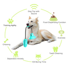 Load image into Gallery viewer, Pet Teeth Cleaning Toy - Buyingspot